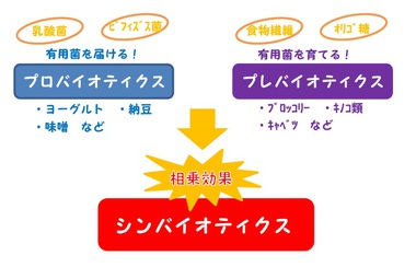 ｼﾝﾊﾞｲｵﾃｨｸｽ.jpgのサムネイル画像