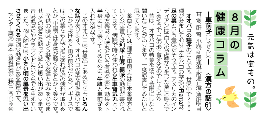 http://www.okusuri.ne.jp/newsite/letter/column/cob0908.gif