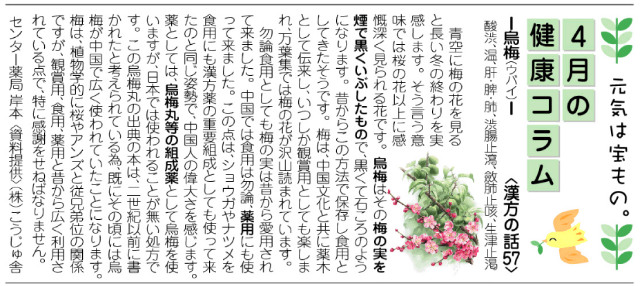 http://www.okusuri.ne.jp/newsite/letter/img/cob0904.gif